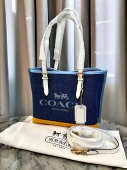 COACH MOLLIE TOTE