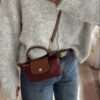 LONGCHANP LE PILAGE POUCH WITH HANDLE OG