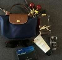 LONGCHANP LE PILAGE POUCH WITH HANDLE OG